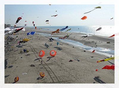 2009-10.JPG